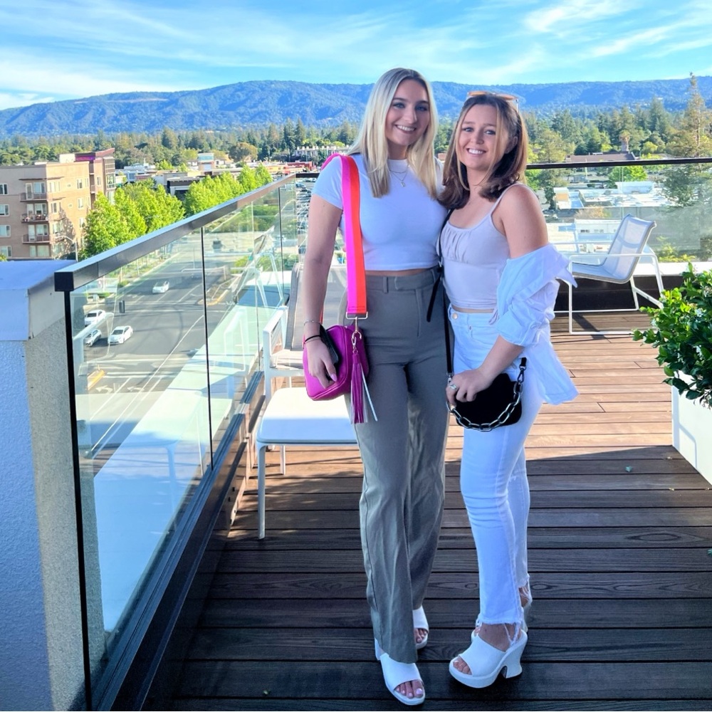Aritzia Babaton Pants
